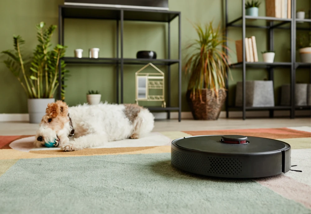 what is the best robot vacuum cleaner to buy